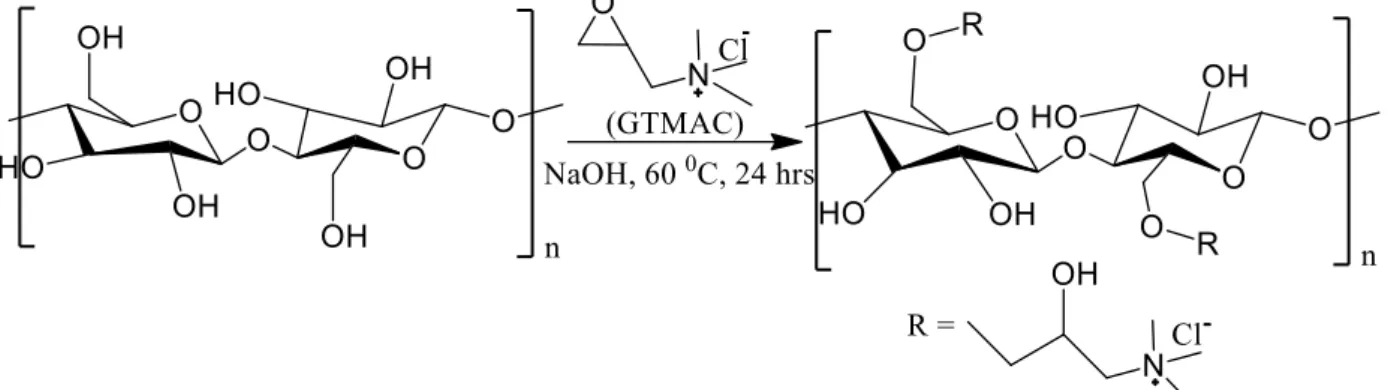 Figure  5:  Reactions  during  the  cationic  modification  of  cellulose  nanocrystals  using  GTMAC/H 2 O/NaOH System (Courtenay et al