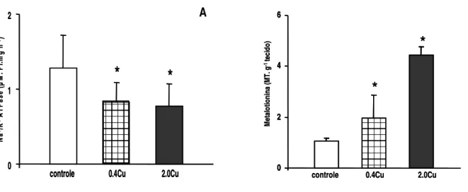 Figura 8. Atividade da Na+/K+-ATPase branquial (μM Pi.mg. h –1 ) (A) e da concentração de Metalotionina  branquial (MT.g -1  tecido) (B) de pacu, Piaractus mesopotamicus, exposto ao grupo controle (sem  adição de cobre), 0.4Cu (0.4 mg.L -1  de cobre), 2.0C