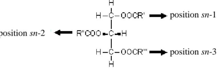 Figure 1.2: Schematic structure of a Fischer projection of a TAG molecule 