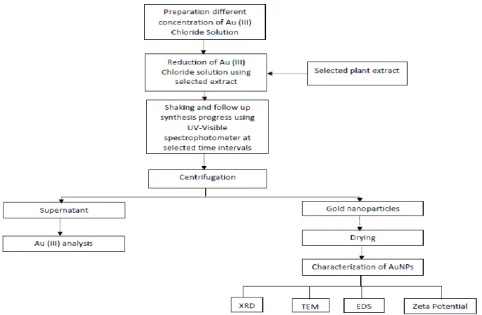 Figure 4: General flow chart for gold (0) synthesis  2.6 Synthesis of multi-metallic composite particles 