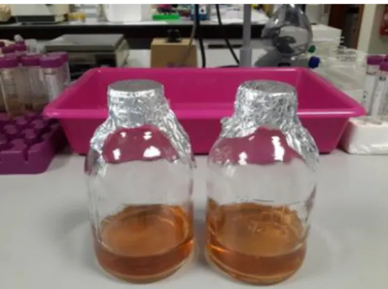 Figure 8 Color change progress before and after addition of extract to the Au-(III) solution