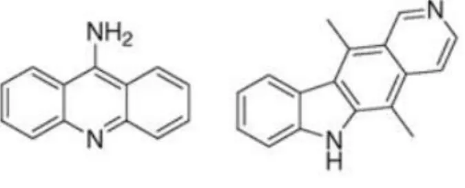 Figura 1.2 – Representação de exemplos da estrutura molecular de agentes intercalantes