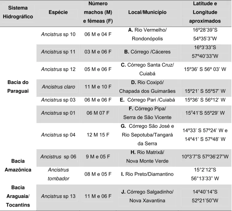 Tabela 06. Espécies de Ancistrus analisadas com as respectivas bacias  hidrográficas e localização aproximada de acordo com o Igeo/MMA