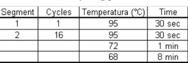 Table 1 – Sample reaction for mutant strand synthesis 