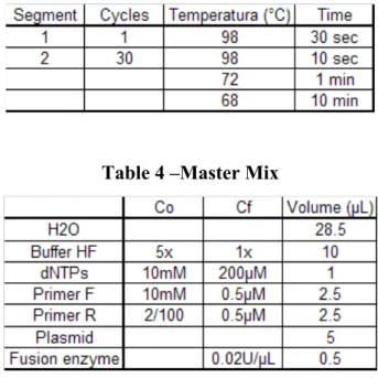 Table 4 –Master Mix 