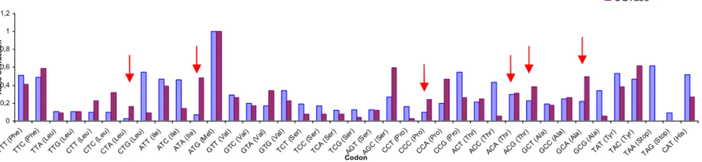 Figure 6 - Comparison between CGTase codons and E.coli codon (the second graph is  continuation of the first one) 