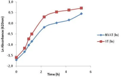 Figure 7 – Comparison between YT medium and NYAT medium 