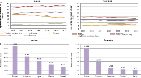 Figure 7 |A) Mortality by gender in Portugal (2000-2012); B) Incidence by gender in Portugal
