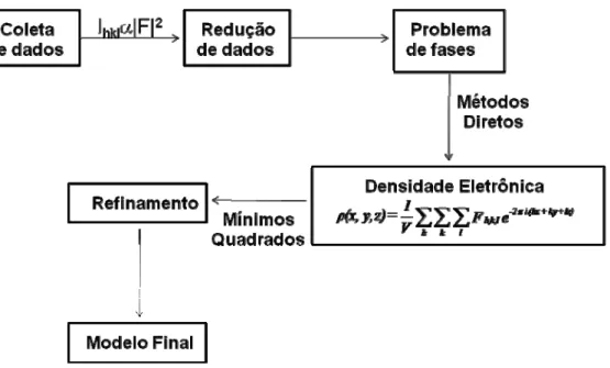 Figura 1.6 Etapas para a determinação de estruturas por difração de raio x. 