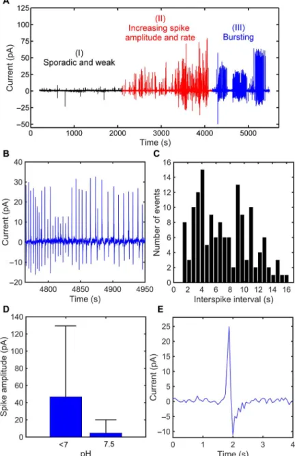 Fig. 2. Evolution of the magnitude and frequency of current noise of C6 glioma cell populations with time