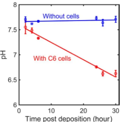 Figure 2B shows the magnified time trace of a typical bursting activity.