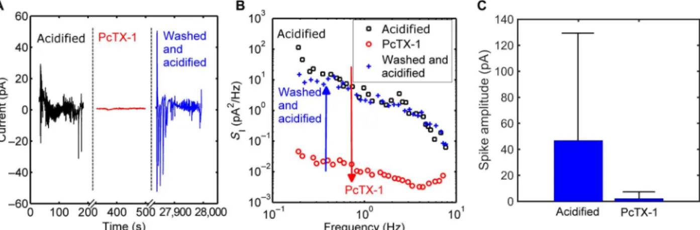 Fig. 5. Current noise of ASICs demonstrated by applying the inhibitor PcTX-1. (A) Time evolution of current noise of C6 glioma cells upon adding PcTX-1, up to a concentration of 100 nM in acidified cell culture medium