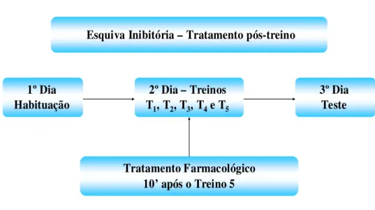 Figura 7: Delineamento experimental de esquiva inibitória – tratamento pós-treino. 