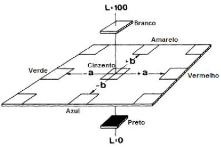 Figura 1.5 - Espaço de cor Hunter L, a, b (deMan, 1999 - adaptado). 
