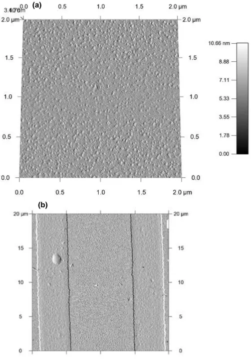 Fig. 3.4.2  (a) Typical  AFM image of PVP capped silver nanoparticles based diode type-B (b) Image of  diode  type-C  (silver  nanoparticles  were  prepared  by  electron  beam  evaporation),  interdigitated  Au  microelectrode arrays, fabricated on therma
