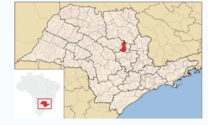Figura 1: Mapa do estado de São Paulo resaltando o município de São Carlos –SP. 