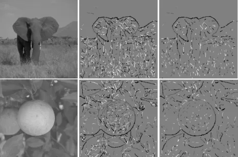 Fig. 1. Fine-scale line/edge detection and NCRF inhibition (right).