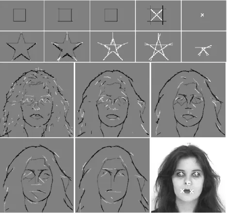 Fig. 2. Multi-scale representations of a square, a star and Fiona image, the latter with detected facial landmarks (see text).