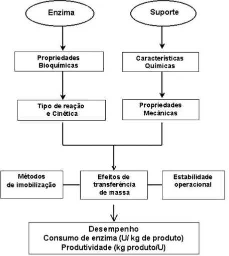 Figura 2.4. Interação entre suporte e enzima (Kennedy, 1987). 