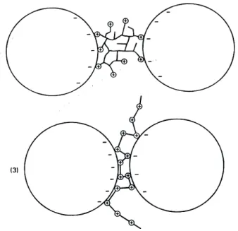 Figura 2.7  Floculação por adição de polímero de cadeia ramificada na primeira  imagem e de cadeia simples na segunda [9]
