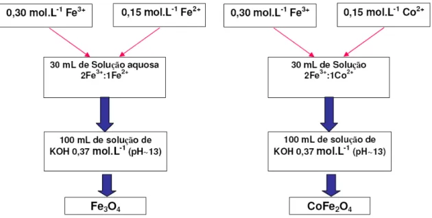 Figura 3. 2. Síntese das ferritas pelo método sol gel hidrolítico. 