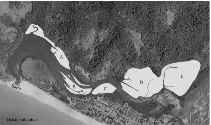 Figura 1. Foto aérea do estuário indicando as cinco áreas de coleta. 