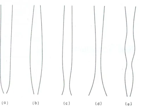Figura 2.2 - Formas do canal de jorro observadas pelas técnicas da observação direta e  piezoelétrica (Mathur e Epstein, 1974)