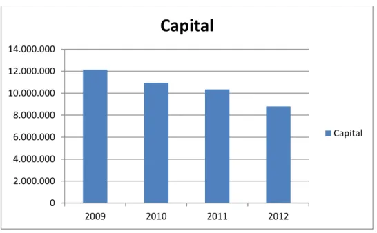 Figura 16 – Variação do Capital da TNGLASS Portugal  Fonte - Elaborado pelo autor com dados da empresa 