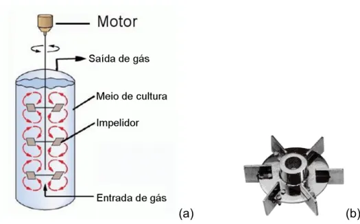 Figura 2-1. a) Desenho esquemático de um biorreator tipo tanque agitado  e aerado. b) Impelidor tipo turbina de seis pás planas ou tipo Rushton 