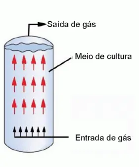 Figura 2-2. Desenho esquemático do biorreator tipo coluna de bolhas 