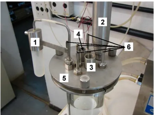 Figura 3-3. Fotografia da tampa do biorreator airlift de 2 dm 3 : (1)  Amostrador; (2) Condensador; (3) Entrada eletrodo de oxigênio dissolvido; (4)  Entrada eletrodo de pH; (5) Tampa superior; (6) Entradas de ácido, base,  antiespumante, inóculo e meio de