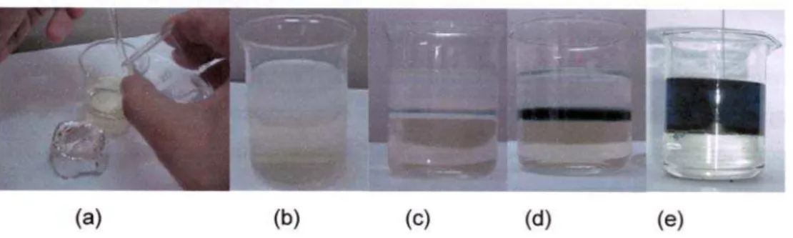 Figura 9. Fotos mostrando todos os estágios da polimerização interfacial da PANI. (a)  adição do monômero em um solvelte orgânico a uma solução aquosa contendo o  agente dopante e o oxidante; (b) estágio inicial; (c) início da polimerização; (d) estágio  i