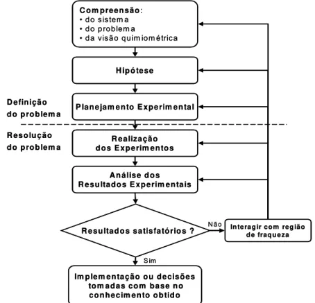 Figura 14. Ilustração do processo de resolução de problemas científicos. 