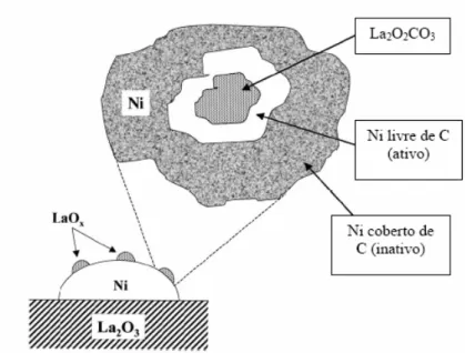 Figura 8: Modelo proposto para descrever a estabilidade do catalisador de Ni/La 2 O 3 