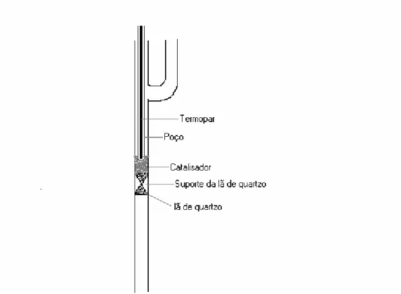 Figura 20: Esquema da montagem do reator para os ensaios catalíticos 