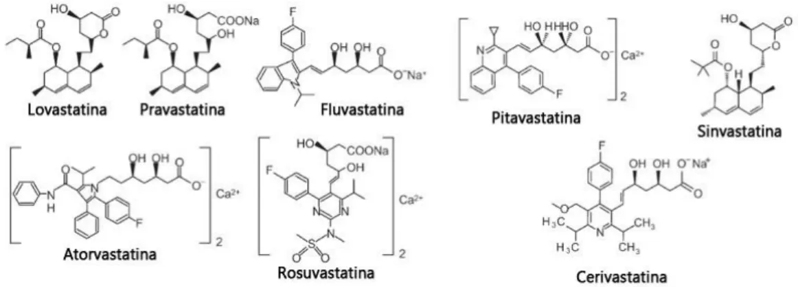 Figura 3.2 – Estrutura química das estatinas. Adaptado de (21). 