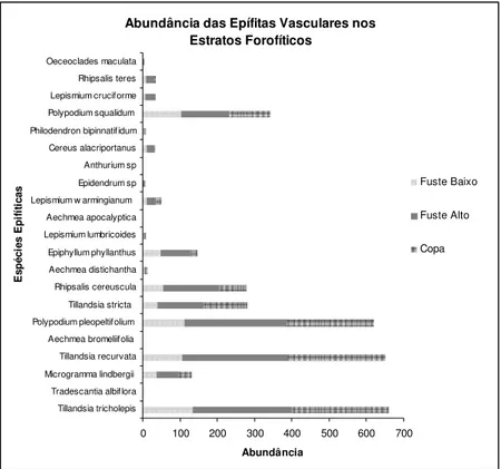 Figura 10: Distribuição das abundâncias das espécies epifíticas vasculares entre os estratos  forofíticos na Floresta Nacional de Ipanema