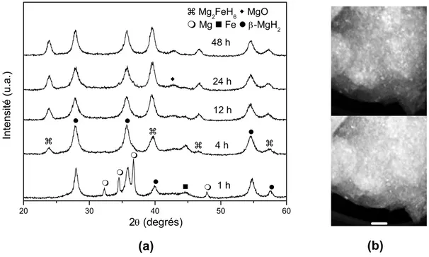 Figure 2 (a) Diffractogrammes de rayons X du mélange Mg + 5% FeF 3  broyé  par les temps indiqués, utilisant le broyeur planétaire (3 MPa de H 2 , 40:1)