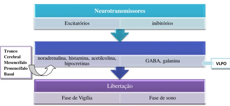 Figura 2. Aproximação algorítmica da função de neurotransmissores na regulação do sono [2]