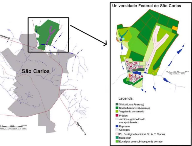 Figura 3. Uso do solo na área de estudo, adaptado de Paese (1997). 