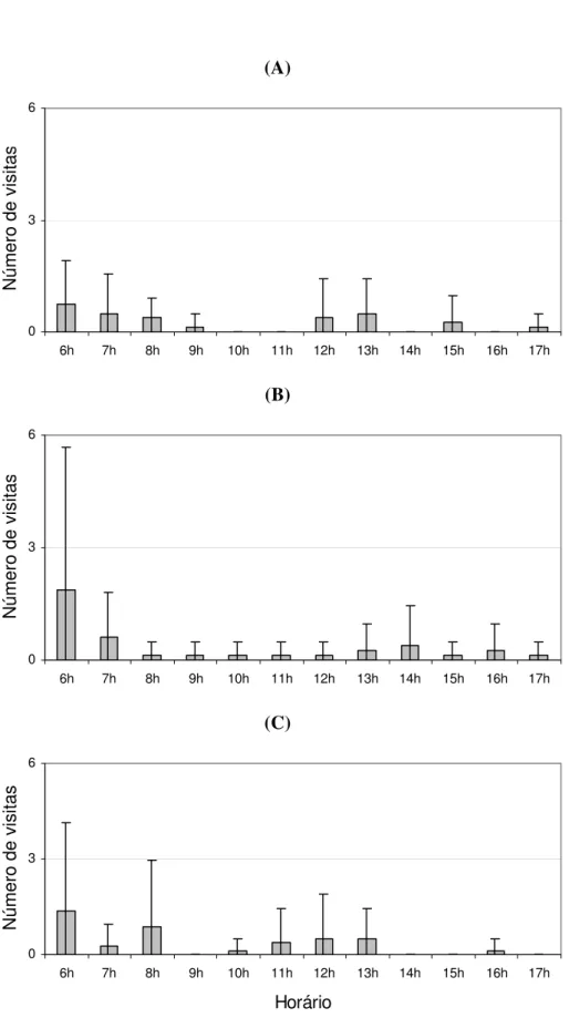 Figura 11. Freqüências de visitação à M. albicans por horário, para as espécies de aves: (A)  Patagioenas picazuro, (B) Sporophila caerulescens e (C) Thraupis sayaca