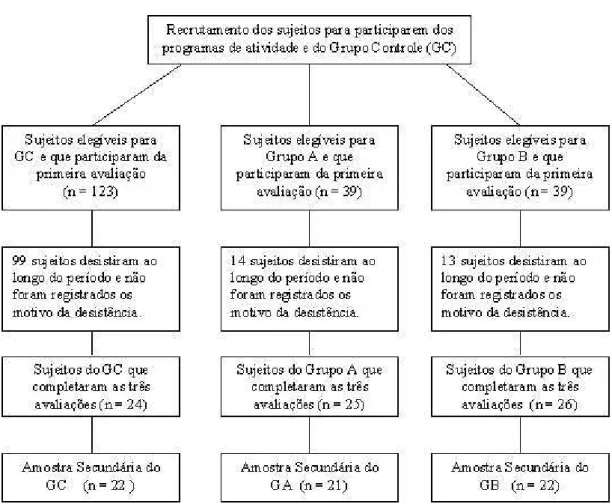 Figura 3 – Fluxograma dos participantes ao longo do estudo. 