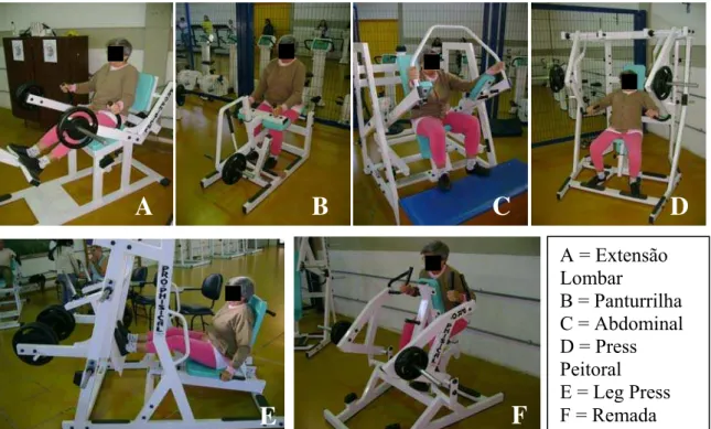 Figura 4 – Aparelhos de musculação utilizados no treinamento dos idosos do Programa de  Qualidade de Vida do Servidor- UFSCar