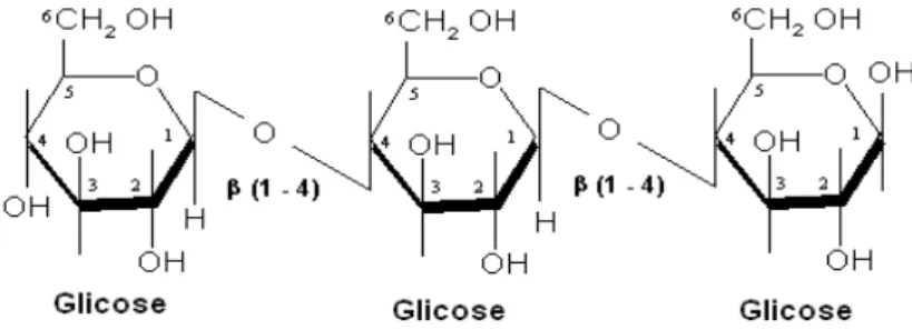 Figura 3: Esquema representativo da celulose. Este polímero é formado pela união “n” moléculas de glicose  através de ligações ß-1,4-glicosídicas