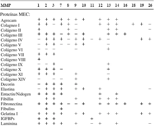 Tabela 2 - Substratos comuns das MMPs 