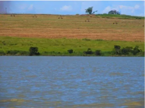 Figura 1: Vista da  margem esquerda do reservatório de Cachoeira Dourada. 