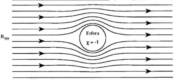 Figura 22 - Curvatura das linhas de campo magnético em torno de uma amostra esférica supercondutora imersa  em um campo constante
