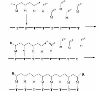 FIGURA 1.3: Representação esquemática da polimerização em molde  tipo II. (POLOWINSKI, 2002) 