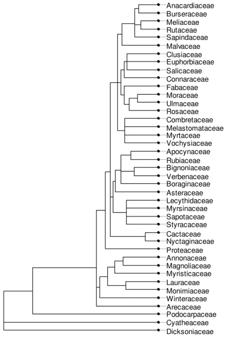 Fig. 3. Summary of the phylogenetic tree assembled for the host tree species in  southeastern Brazil
