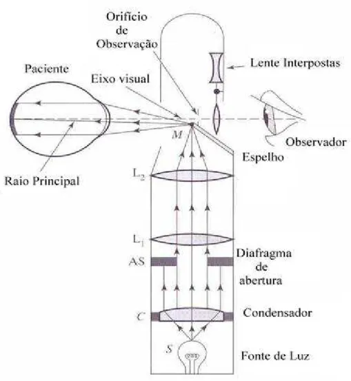 Figura 2.1 - Diagrama óptico do oftalmoscópio direto  [1] . 